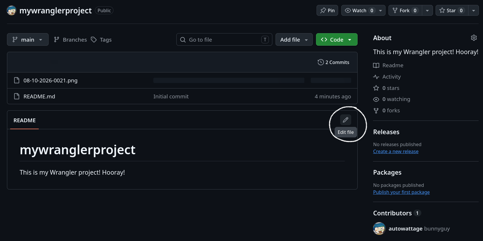 Github repository home screen, mouse hovered on the Edit README button