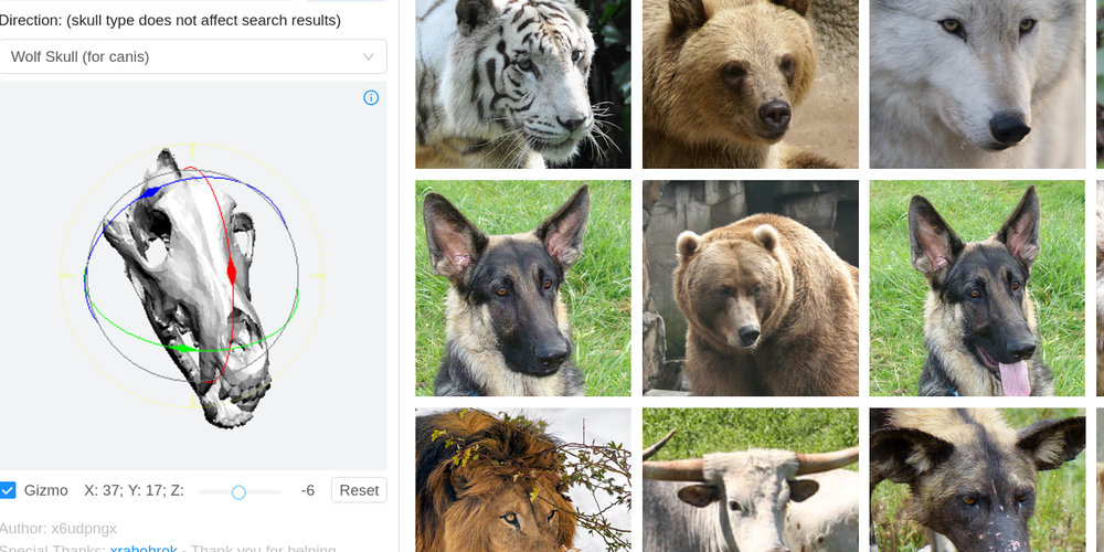 3D model of a wolf skull next to photos of animals facing the same direction of the wolf skull